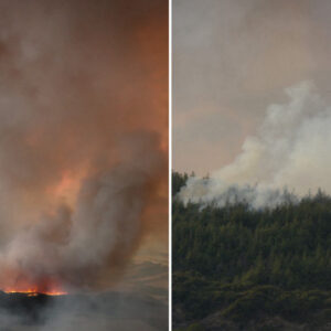 canakkale geliboluda ormanlik alanda cikan yangina havadan ve karadan mudahale suruyor crxP3Pwc