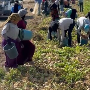 marketlerin verdigi fiyat isyan ettirdi halka bedava dagitti aqaTlmrv