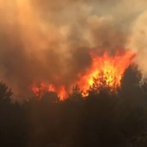 pirindeki orman yangini kontrol altina alindi favrxrnS