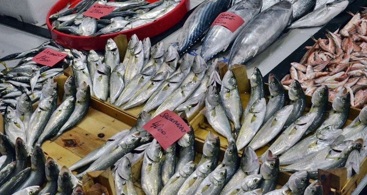 balikcilarin yuzunu gulduren haber geldi akin akin harekete gectiler VuR2Llkc