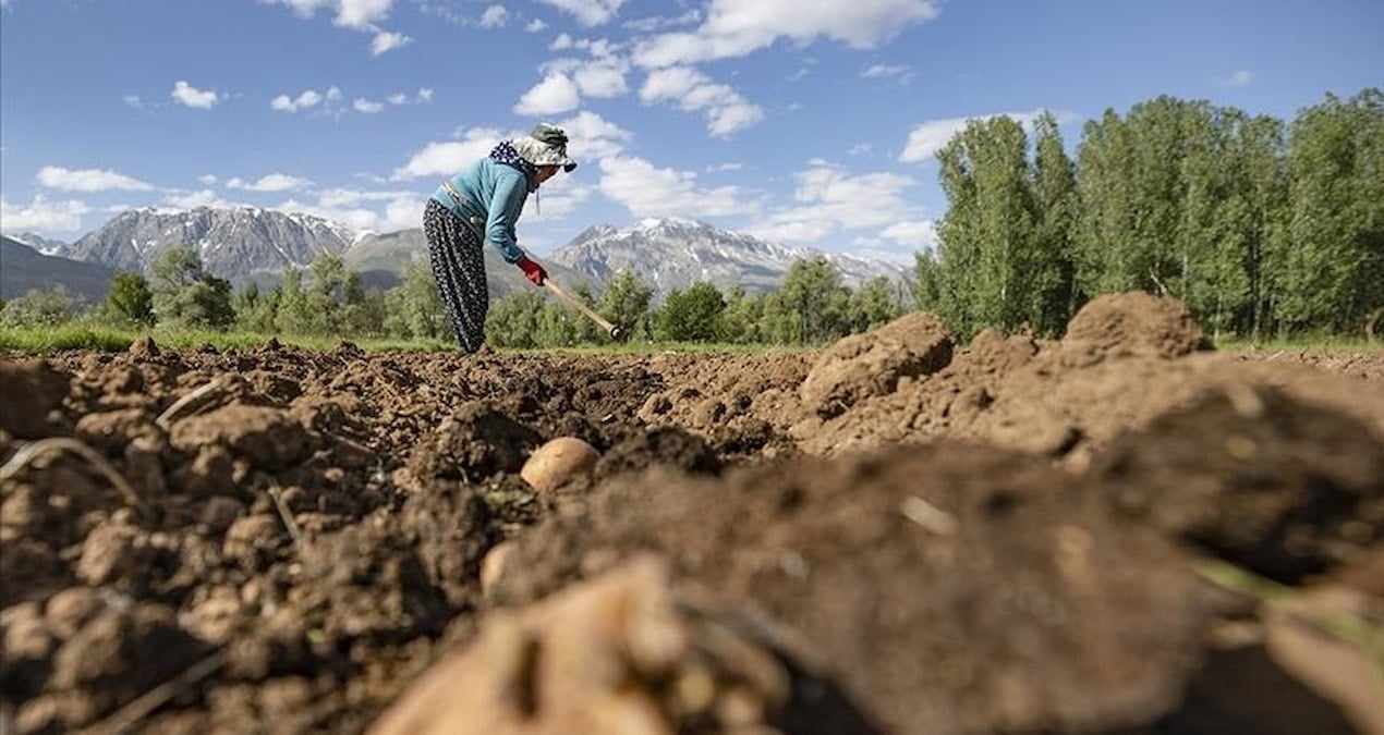 ciftcilerin hesabina bugun 45 milyar liralik destek aktarilacak D5yuKEIE