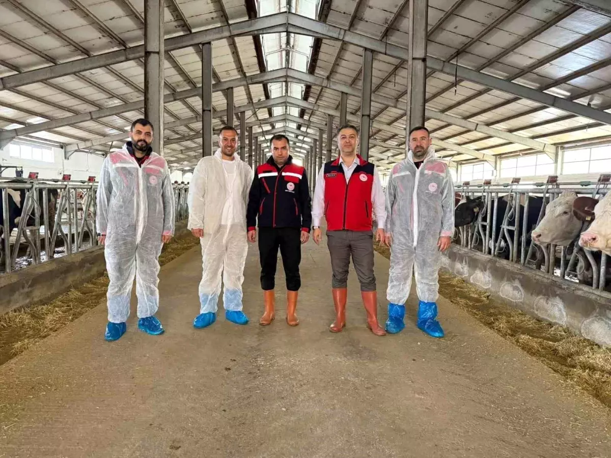 afyonkarahisarda yeni hastaliktan ari isletme sertifikasi haqvSlEs.jpg