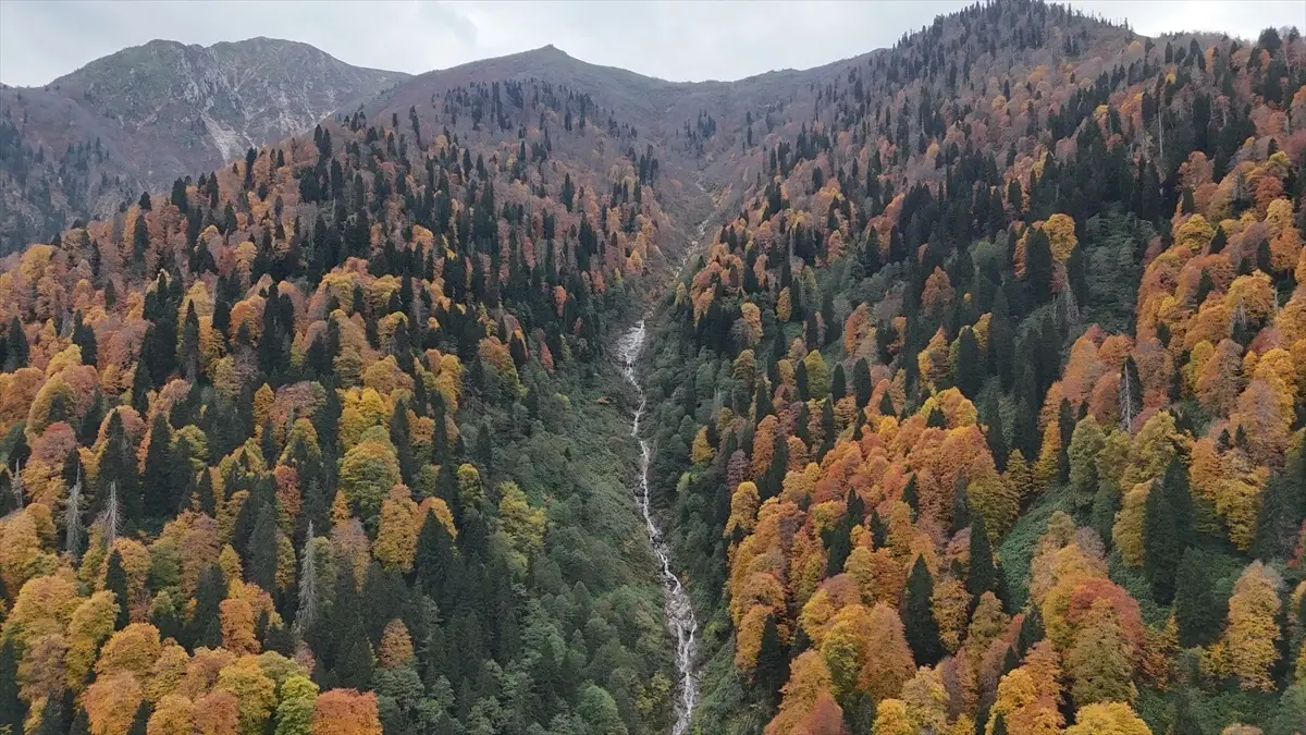 ayder yaylasi sonbahar renkleriyle buyuluyor O95seOQ2.jpg