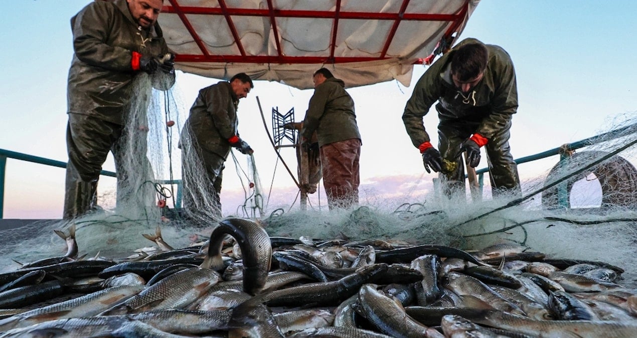 bakanlik duyurdu bu illerdeki balikcilara en az 5 bin en fazla 12 bin lira verilecek uP1Q7quC.jpg