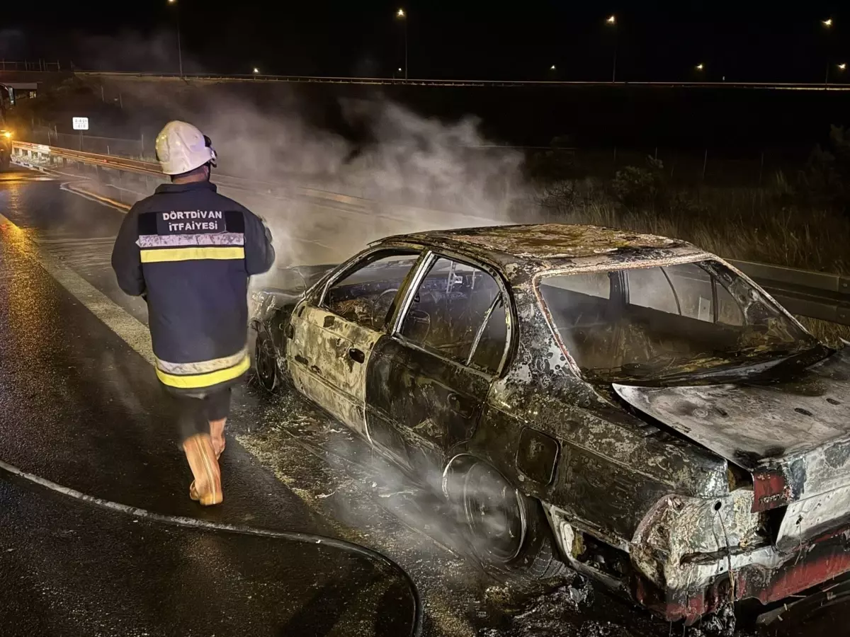 boluda seyir halindeki otomobil alev aldi apdsHcBL.jpg