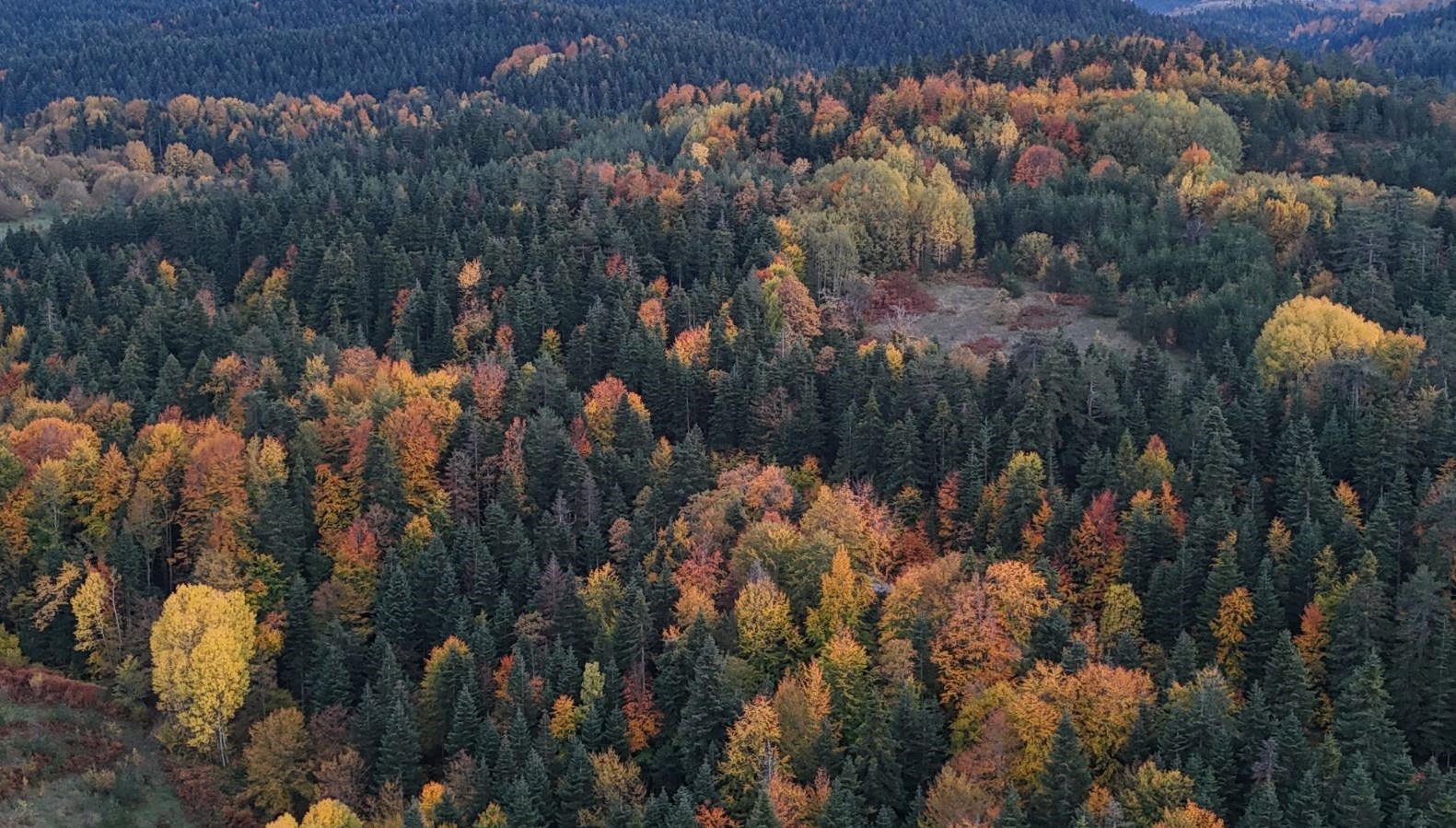 sinopta sonbahar renkleri 8Cp9tDmX.jpg