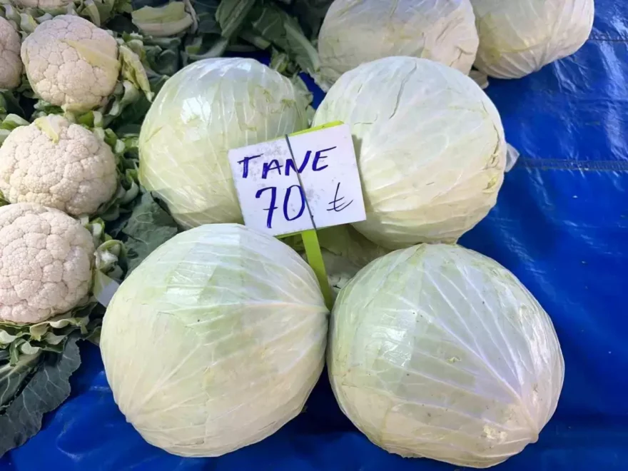 Lahana Fiyatlarında Dengesizlik: Üretici Zarar Ediyor